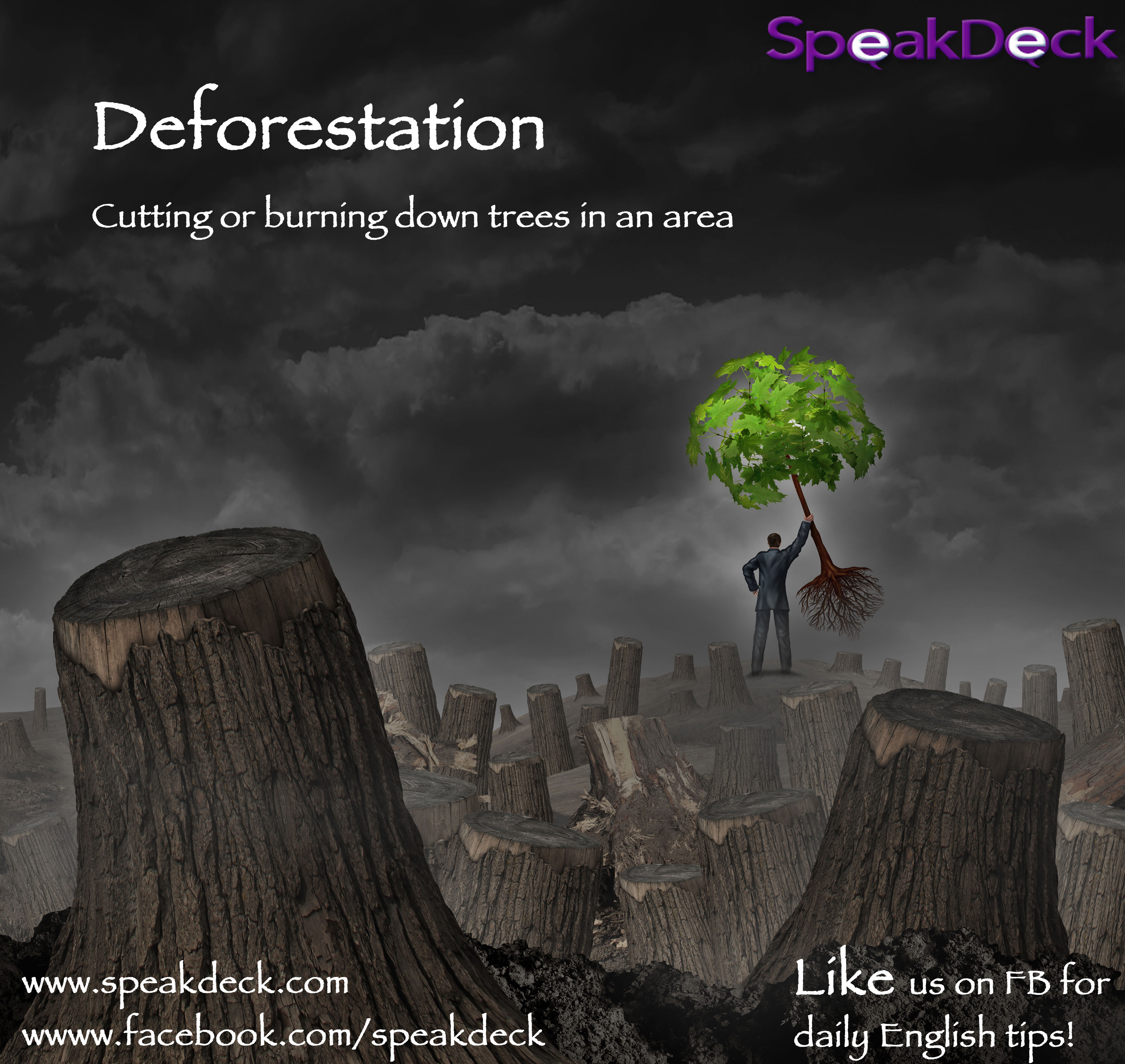 Deforestation-FB